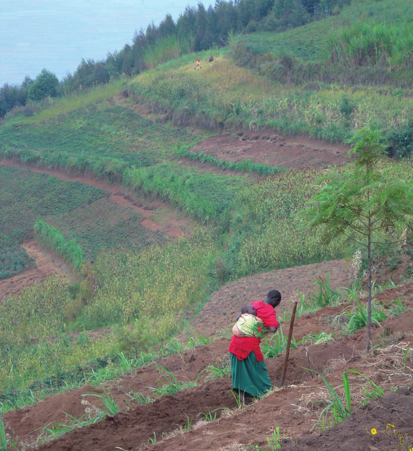Une exploitation familiale au Kivu