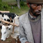 « La seule différence avec la vie de mes parents, c'est que j'ai moins de terre et que mes enfants vont à l'école ». Un paysan d'Ankober, 48 ans.