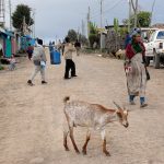 Des petits porteurs approvisionnent le principal café du village.